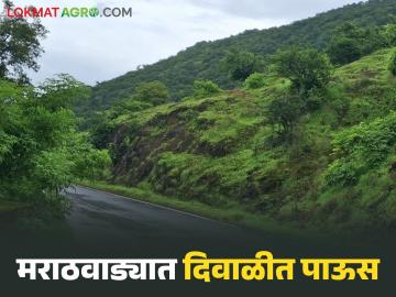 मराठवाड्यातील 'या' जिल्ह्यात दिवाळीत पाऊस पडणार, मुंबई वेधशाळेने वर्तविलेला अंदाज  - Marathi News | Latest News Marathwada Rain Mumbai Observatory predicts rain in Marathwada during Diwali | Latest News at Lokmat.com