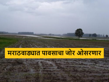 Maharashtra Rain Update : मराठवाड्यात पावसाचा जोर कमी होणार, उर्वरित महाराष्ट्रात पाऊस कसा असेल?  - Marathi News | Latest News Maharashtra rain Update Rain will reduce in Marathwada and what other maharashtra see details | Latest News at Lokmat.com