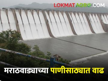Marathwada Dam Storage मराठवाड्याच्या पाणीसाठ्यात होतेय वाढ; वाचा मराठवाड्याच्या पाणीसाठ्याची अद्यावत माहिती - Marathi News | Marathwada Dam Storage The water storage of Marathwada is increasing; Read updates on Marathwada water resources | Latest News at Lokmat.com Marathwada Dam Storage मराठवाड्याच्या पाणीसाठ्यात होतेय वाढ; वाचा मराठवाड्याच्या पाणीसाठ्याची अद्यावत माहिती - Marathi News | Marathwada Dam Storage The water storage of Marathwada is increasing; Read updates on Marathwada water resources | Latest News at Lokmat.com