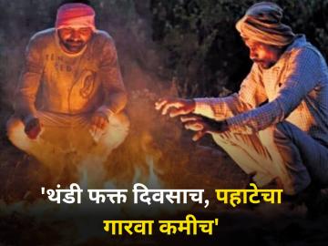 'थंडी फक्त दिवसाच, पहाटेचा गारवा त्यामानाने कमीच'  - Marathi News | "Cold only during the day, the dew of the morning less than that" | Latest agriculture News at Lokmat.com