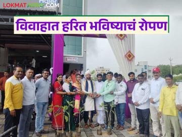 वटवृक्षाची रोपे देऊन विवाहाच्या बंधनात; शीतल अन् शरदचा अनोखा विवाह सोहळा - Marathi News | latest news The unique wedding ceremony of Sheetal and Sharad, tied the knot by giving banyan tree saplings | Latest News at Lokmat.com
