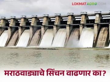 Marathwada Water Issue : नागपूर करारानुसार अनुशेष अनुदान मिळण्यास मराठवाड्यावर अन्याय - Marathi News | Marathwada Water Issue: latest news Injustice to Marathwada for receiving arrears of grant as per Nagpur Agreement | Latest News at Lokmat.com Marathwada Water Issue : नागपूर करारानुसार अनुशेष अनुदान मिळण्यास मराठवाड्यावर अन्याय - Marathi News | Marathwada Water Issue: latest news Injustice to Marathwada for receiving arrears of grant as per Nagpur Agreement | Latest News at Lokmat.com