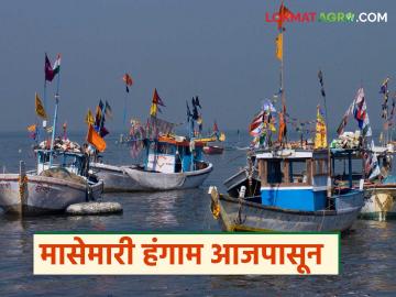 आजपासून मासेमारीवरील बंदी उठली परंतु 'या' कारणामुळे मासेमारीला होणार उशिरा सुरवात - Marathi News | Ban on fishing lifted from today, but fishing will start late due to 'this' reason | Latest News at Lokmat.com आजपासून मासेमारीवरील बंदी उठली परंतु 'या' कारणामुळे मासेमारीला होणार उशिरा सुरवात - Marathi News | Ban on fishing lifted from today, but fishing will start late due to 'this' reason | Latest News at Lokmat.com