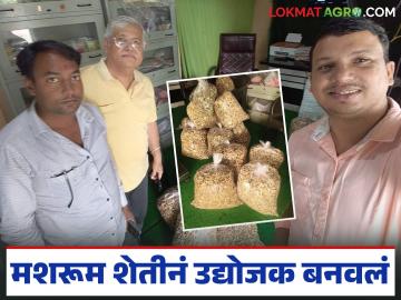 MPSC सोडली, अन् मशरूम शेतीनं उद्योजक बनवलं, वर्षाला 40 लाखांची उलाढाल, अनंत इखार यांची यशोगाथा  - Marathi News | Latest News Mashroom farmer Anant Ikhar's inspiring success story He left MPSC and became an entrepreneur through mushroom farming | Latest News at Lokmat.com