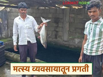 शिक्षण दहावी पास, 200 रुपयांपासून मत्स्य व्यवसायाची सुरवात, आता महिन्याला लाखोंची कमाई  - Marathi News | Latest News 10th pass gadchiroli district Youth Farmer earning lakh rupees from the fisheries business | Latest News at Lokmat.com