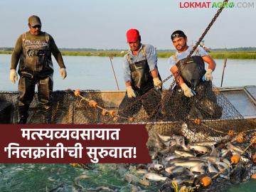 Matsya Palan Yojana : मत्स्यव्यवसायात कमाईची मोठी संधी; 'ही' योजना बदलणार चित्र - Marathi News | latest news Matsya Palan Yojana: Big opportunity for earning in fisheries; 'This' scheme will change the picture | Latest News at Lokmat.com