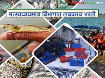 राज्य शासनाच्या मत्स्यव्यवसाय विभागात होणार मेगा भरती; ४४० नव्या पदांची निर्मिती - Marathi News | Mega recruitment to be held in the Fisheries Department of the State Government; 440 new posts to be created | Latest agri-business News at Lokmat.com