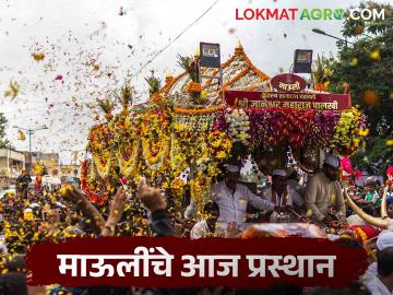 माऊलींच्या पालखीचे आळंदीतून आज प्रस्थान, कुठे कधी मुक्काम? जाणून घ्या सविस्तर - Marathi News | Mauli's palakhi departs from Alandi today, where and when will it stop? Know the details | Latest News at Lokmat.com माऊलींच्या पालखीचे आळंदीतून आज प्रस्थान, कुठे कधी मुक्काम? जाणून घ्या सविस्तर - Marathi News | Mauli's palakhi departs from Alandi today, where and when will it stop? Know the details | Latest News at Lokmat.com