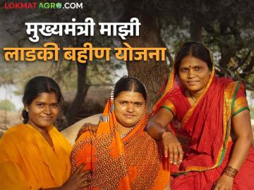 Ladli Behna Yojana मुख्यमंत्री माझी लाडकी बहीण या योजनेविषयी जाणून घ्या सविस्तर - Marathi News | Ladli Behna Yojana: Know more about this scheme Mukhyamantri Majhi Ladaki Bahin | Latest News at Lokmat.com