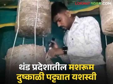 Mushroom Farming : एमबीबीएस डॉक्टर तरूणाचा जबरदस्त प्रयोग, झोपडीत फुलवली मशरूमची शेती - Marathi News | Latest News mushroom farming in hut by young mbbs doctor experiment in village | Latest News at Lokmat.com