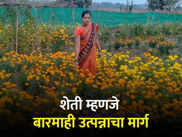 शेतीपूरक जोडधंद्यातून महिला गटांना आर्थिक विकासाची दिशा देणाऱ्या मेघना गुढेकर - Marathi News | Meghna Gudhekar, who gives direction to economic development of women groups through agriculture allied business | Latest News at Lokmat.com