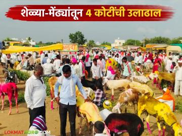आटपाडीच्या कार्तिक यात्रेत ४ कोटींची उलाढाल; सोमनाथ जाधव यांचा माडग्याळ मेंढा ठरला ‘हिंदकेसरी’ - Marathi News | Atpadi's Kartik Yatra generates turnover of Rs 4 crore; Somnath Jadhav's Madgyal sheep becomes 'Hindkesari' | Latest News at Lokmat.com
