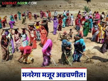 MGNREGA e-KYC Update : मनरेगा बदलाचा मोठा फटका; मजुरांची ई-केवायसी अर्ध्यावरच अडकली - Marathi News | latest news MGNREGA e-KYC Update: Big blow from MGNREGA change! Laborers' e-KYC stuck halfway | Latest News at Lokmat.com MGNREGA e-KYC Update : मनरेगा बदलाचा मोठा फटका; मजुरांची ई-केवायसी अर्ध्यावरच अडकली - Marathi News | latest news MGNREGA e-KYC Update: Big blow from MGNREGA change! Laborers' e-KYC stuck halfway | Latest News at Lokmat.com