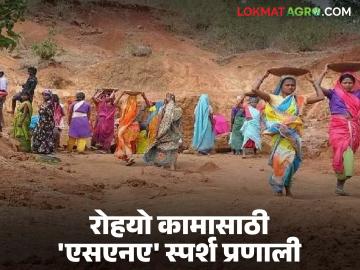 MGNREGA Scheme : एसएनए स्पर्श प्रणाली लागू ; रोहयोमध्ये पारदर्शकता वाढणार वाचा सविस्तर - Marathi News | latest news MGNREGA Scheme : SNA touch system implemented; Transparency will increase in Rohyo Read in detail | Latest News at Lokmat.com