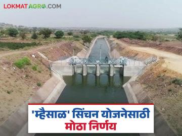 म्हैसाळ उपसा सिंचन योजनेची कार्यक्षमता वाढविण्यासाठी मंत्रिमंडळाचा हा मोठा निर्णय; वाचा सविस्तर - Marathi News | This is a big decision of the Cabinet to increase the efficiency of the Mhaisal Upsa Irrigation Scheme; Read in detail | Latest News at Lokmat.com