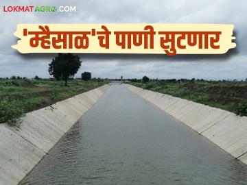 Mhaisal Lift Irrigation Scheme : म्हैसाळ सिंचन योजनेचे पंप १० जानेवारीपासून सुरू होणार - Marathi News | Mhaisal Lift Irrigation Scheme : Pumps of Mhaisal Irrigation Scheme will start from January 10th | Latest News at Lokmat.com