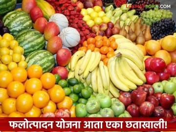 Horticulture Scheme : शेतकऱ्यांसाठी ‘वन स्टॉप’ सुविधा; फलोत्पादन योजना एकत्रित वाचा सविस्तर - Marathi News | latest news Horticulture Scheme: 'One stop' facility for farmers; Read details of Horticulture Scheme combined | Latest News at Lokmat.com Horticulture Scheme : शेतकऱ्यांसाठी ‘वन स्टॉप’ सुविधा; फलोत्पादन योजना एकत्रित वाचा सविस्तर - Marathi News | latest news Horticulture Scheme: 'One stop' facility for farmers; Read details of Horticulture Scheme combined | Latest News at Lokmat.com