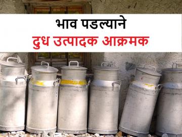 Milk Prices: भाव गडगडल्याने दूध उत्पादक आक्रमक; नगर जिल्ह्यात आंदोलनाचा पावित्रा - Marathi News | Milk Prices: Milk producers aggressive due to falling prices; Movement in Nagar district | Latest News at Lokmat.com Milk Prices: भाव गडगडल्याने दूध उत्पादक आक्रमक; नगर जिल्ह्यात आंदोलनाचा पावित्रा - Marathi News | Milk Prices: Milk producers aggressive due to falling prices; Movement in Nagar district | Latest News at Lokmat.com