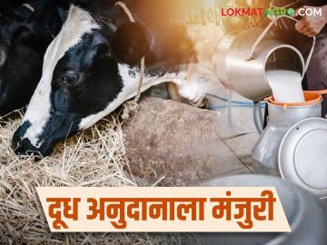 ऑक्टोबर-नोव्हेंबर महिन्यातील दूध अनुदानाला मंजुरी; कोणत्या जिल्ह्याला मिळणार किती अनुदान? वाचा सविस्तर - Marathi News | Approval for milk subsidy for the month of October-November; Which district will get how much subsidy? Read in detail | Latest News at Lokmat.com ऑक्टोबर-नोव्हेंबर महिन्यातील दूध अनुदानाला मंजुरी; कोणत्या जिल्ह्याला मिळणार किती अनुदान? वाचा सविस्तर - Marathi News | Approval for milk subsidy for the month of October-November; Which district will get how much subsidy? Read in detail | Latest News at Lokmat.com