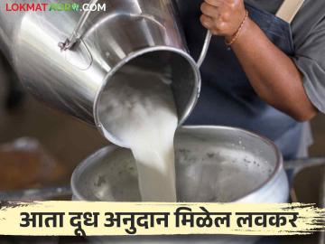Dudh Anudan: दूध अनुदान लवकर मिळणार, माहिती संकलनासाठी केले हे मोठे बदल - Marathi News | Dudh Anudan: milk subsidy will be available soon, major changes made for data collection | Latest News at Lokmat.com