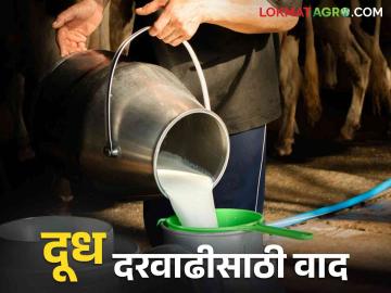 छत्रपती संभाजीनगर जिल्हा दूध उत्पादक संघ स्थापनेचा अग्राह; दरवाढीसाठी सभासद आक्रमक - Marathi News | Establishment of Chhatrapati Sambhajinagar District Milk Producers Association; Members aggressive for price hike | Latest News at Lokmat.com