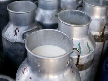 दूध भेसळ रोखण्यासाठी आता मोबाईल टेस्टिंग व्हॅन - Marathi News | Mobile testing van now for milk adulteration | Latest News at Lokmat.com