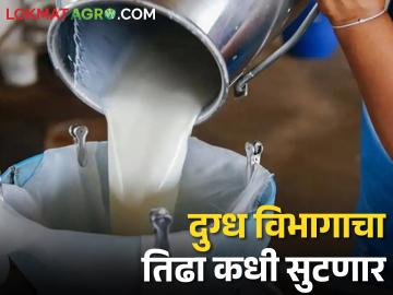 दुग्ध विभाग जिल्हा परिषदेकडे वर्ग करण्यास अधिकारी, कर्मचाऱ्यांचा विरोध - Marathi News | Officers, employees opposed to the dairy department merge into zilla parishad | Latest News at Lokmat.com दुग्ध विभाग जिल्हा परिषदेकडे वर्ग करण्यास अधिकारी, कर्मचाऱ्यांचा विरोध - Marathi News | Officers, employees opposed to the dairy department merge into zilla parishad | Latest News at Lokmat.com