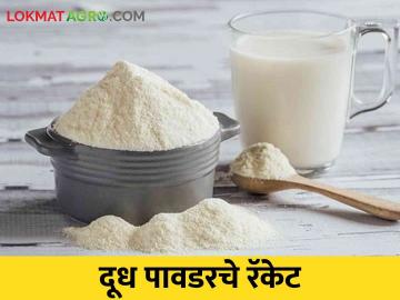 कर्नाटकच्या दूध पावडरचे महाराष्ट्रात साठे तर दिल्लीपर्यंत मोठे रॅकेट..! - Marathi News | Karnataka's milk powder stocks in Maharashtra and a big racket up to Delhi..! | Latest News at Lokmat.com कर्नाटकच्या दूध पावडरचे महाराष्ट्रात साठे तर दिल्लीपर्यंत मोठे रॅकेट..! - Marathi News | Karnataka's milk powder stocks in Maharashtra and a big racket up to Delhi..! | Latest News at Lokmat.com