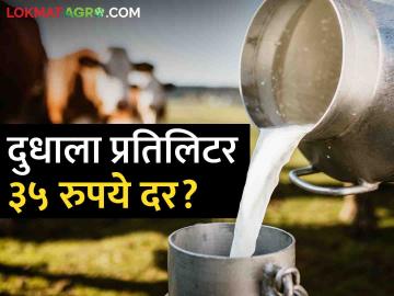 Milk Rate : दुधाला प्रतिलिटर 35 रुपये दर मिळणार का? विखे पाटील यांचे विधानसभेत निवेदन - Marathi News | Latest News Milk will get Rs 35 per litre, Vikhe Patil's statement in maharashtra Assembly | Latest News at Lokmat.com