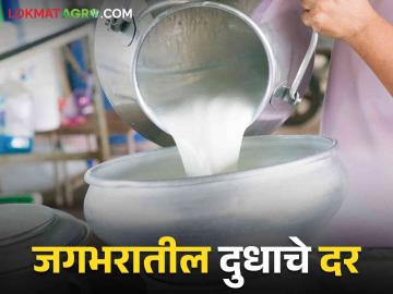 Milk Rates Around the World : जगभरात सध्या दुधाचे दर काय आहेत? कोणत्या देशात दूध सर्वात महाग - Marathi News | What are the current milk prices around the world? In which country milk is the most expensive | Latest News at Lokmat.com
