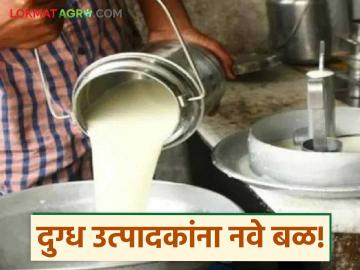 Milk Revolution 2.0 : दूध व्यवसायात मोठी क्रांती; 'श्वेत क्रांती २.०'ने बदलणार ग्रामीण चित्र? वाचा सविस्तर - Marathi News | latest news Milk Revolution 2.0: A big revolution in the milk business; Will 'White Revolution 2.0' change the rural picture? Read in detail | Latest News at Lokmat.com Milk Revolution 2.0 : दूध व्यवसायात मोठी क्रांती; 'श्वेत क्रांती २.०'ने बदलणार ग्रामीण चित्र? वाचा सविस्तर - Marathi News | latest news Milk Revolution 2.0: A big revolution in the milk business; Will 'White Revolution 2.0' change the rural picture? Read in detail | Latest News at Lokmat.com