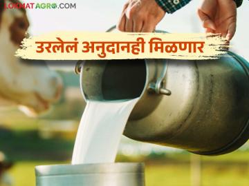 Dudh Anudan : या जिल्ह्यातील दूध उत्पादकांच्या खात्यावर १५ कोटी; आणखी ११ कोटी मंजूर - Marathi News | Dudh Anudan : 15 crores on account of milk producer farmers in this district; Another 11 crore approved | Latest News at Lokmat.com