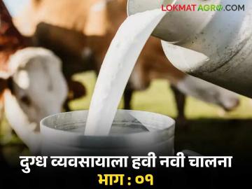 पशुसंवर्धन व दुग्ध व्यवसाय विभागांचे एकत्रीकरण झाले पण अंमलबजावणी संथ! - Marathi News | Animal Husbandry and Dairying Departments have been merged but implementation is slow! | Latest News at Lokmat.com