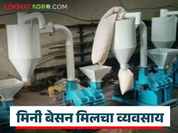 कमी खर्चात दररोजचा नफा देणारा मिनी बेसन मिलचा व्यवसाय, पहा व्यवसायाबद्दलची संपूर्ण माहिती  - Marathi News | Latest News Mini gram flour mill business that gives daily profit at low cost, see complete information | Latest News at Lokmat.com