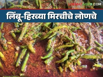 Mirchi Pickle : थंडीमध्ये घरच्या घरी बनवा लिंबू- मिरचीचे चविष्ट लोणचे, वाचा सविस्तर - Marathi News | Latest News limbu mirchi lonche Make delicious lemon-chilli pickles at home in winter, read in detail | Latest News at Lokmat.com Mirchi Pickle : थंडीमध्ये घरच्या घरी बनवा लिंबू- मिरचीचे चविष्ट लोणचे, वाचा सविस्तर - Marathi News | Latest News limbu mirchi lonche Make delicious lemon-chilli pickles at home in winter, read in detail | Latest News at Lokmat.com