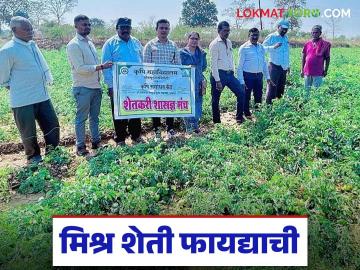 Mixed Farming : मिश्र पीक पद्धतीतून मिळवा जादा उत्पन्न, पण कसे? जाणून घ्या सविस्तर  - Marathi News | Latest News Mixed Farming Get more income through mixed cropping, but how Learn in detail | Latest News at Lokmat.com