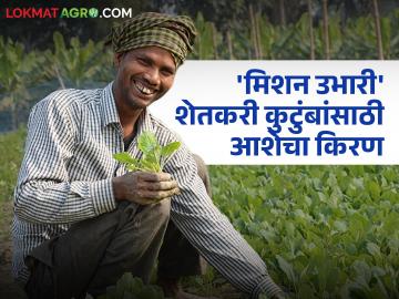 Mission Ubhari : शेतकरी कुटुंबांच्या 'उभारी' साठी यवतमाळ प्रशासनाचा संवेदनशील उपक्रम वाचा सविस्तर - Marathi News | latest news Mission Ubhari: Read the sensitive initiative of Yavatmal administration for the 'Ubhari' of farming families in detail | Latest News at Lokmat.com Mission Ubhari : शेतकरी कुटुंबांच्या 'उभारी' साठी यवतमाळ प्रशासनाचा संवेदनशील उपक्रम वाचा सविस्तर - Marathi News | latest news Mission Ubhari: Read the sensitive initiative of Yavatmal administration for the 'Ubhari' of farming families in detail | Latest News at Lokmat.com