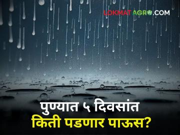 Pune Rain Updates : पुढील ५ दिवसांत पुणे जिल्ह्यांत 'असा' असेल पाऊस; काय आहेत हवामानाचे इशारे? - Marathi News | Pune Rain Updates Pune districts will have rain in next 5 days What are weather warnings? | Latest agriculture News at Lokmat.com Pune Rain Updates : पुढील ५ दिवसांत पुणे जिल्ह्यांत 'असा' असेल पाऊस; काय आहेत हवामानाचे इशारे? - Marathi News | Pune Rain Updates Pune districts will have rain in next 5 days What are weather warnings? | Latest agriculture News at Lokmat.com