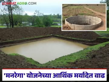 मनरेगात आता शेतकऱ्यांच्या मनासारखं झालं; विहीर व शेततळ्यासाठीच्या आर्थिक मर्यादेत भरीव वाढ - Marathi News | MNREGA has now become a reality for farmers; Substantial increase in financial limit for wells and farm ponds | Latest News at Lokmat.com