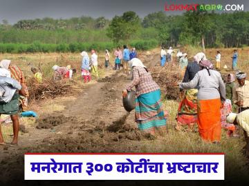 MNRGA Scheme : मनरेगाच्या कामात 300 कोटींचा भ्रष्टाचार; ग्रामीण विकास खात्याच्या सर्व्हेतील माहिती - Marathi News | Latest News Corruption of Rs 300 crore in MNREGA work; Information from the survey of the Rural Development Department | Latest News at Lokmat.com