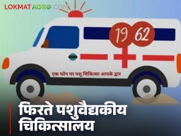 veterinary clinic: एक फोन करा अन् जनावरांवर घरपोच उपचार मिळवा; पशुसंवर्धन विभागाचा उपक्रम - Marathi News | Veterinary clinic: Make a call and get home treatment for animals; initiative of the Animal Husbandry Department | Latest News at Lokmat.com veterinary clinic: एक फोन करा अन् जनावरांवर घरपोच उपचार मिळवा; पशुसंवर्धन विभागाचा उपक्रम - Marathi News | Veterinary clinic: Make a call and get home treatment for animals; initiative of the Animal Husbandry Department | Latest News at Lokmat.com