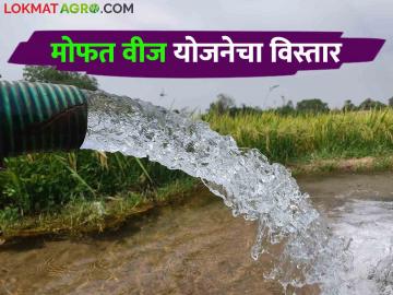 शेतकऱ्यांना दिवसा अखंडित वीज मिळण्यासाठी मुख्यमंत्री बळीराजा मोफत वीज योजनेचा विस्तार - Marathi News | Extension of Chief Minister Baliraja Free Power Scheme for farmers to get uninterrupted electricity during the day | Latest News at Lokmat.com शेतकऱ्यांना दिवसा अखंडित वीज मिळण्यासाठी मुख्यमंत्री बळीराजा मोफत वीज योजनेचा विस्तार - Marathi News | Extension of Chief Minister Baliraja Free Power Scheme for farmers to get uninterrupted electricity during the day | Latest News at Lokmat.com