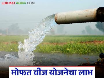 कृषिपंप वीजबिलाची पुनर्तपासणी सुरू; आता 'ह्या' शेतकऱ्यांना मिळणार मोफत वीज योजनेचा लाभ - Marathi News | Re-examination of agricultural pump electricity bills begins; Now 'these' farmers will get the benefit of free electricity scheme | Latest News at Lokmat.com कृषिपंप वीजबिलाची पुनर्तपासणी सुरू; आता 'ह्या' शेतकऱ्यांना मिळणार मोफत वीज योजनेचा लाभ - Marathi News | Re-examination of agricultural pump electricity bills begins; Now 'these' farmers will get the benefit of free electricity scheme | Latest News at Lokmat.com