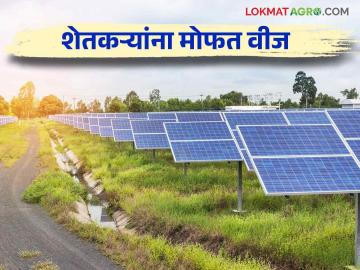 Free Electricity For Farmer : काय सांगताय! शेतकऱ्यांना पुढील २५ वर्षे मिळणार मोफत वीज; कसे करणार नियोजन वाचा सविस्तर - Marathi News | Free Electricity For Farmer : Farmers will get free electricity for the next 25 years  | Latest News at Lokmat.com