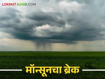 Weather Update मान्सूनची गती मंदावली; अजून तीन ते चार दिवस पाहावी लागेल वाट - Marathi News | Weather Update: Monsoon slows down; We have to wait for another three to four days | Latest News at Lokmat.com