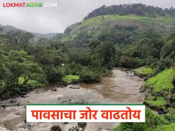 पुढील पाच दिवस पावसाची अशीच बॅटिंग सुरू राहणार; कुठे कोणता अलर्ट? - Marathi News | The rain will continue like this for the next five days; what alert is there? | Latest News at Lokmat.com