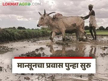 Maharashtra Rain : 16 जूनपर्यंत किती पाऊस झाला? पुढील आठवडाभर पाऊस कसा असेल?  - Marathi News | Latest News Maharashtra Rain How much rain has fallen till June 16 or see rainfall for the next week | Latest News at Lokmat.com