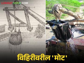 विहिरीतील पाणी मोट वापरून कसे काढले जायचे? जाणून घ्या सविस्तर - Marathi News | How was water from a well drawn using a bullock driven mot? Read in detail | Latest News at Lokmat.com