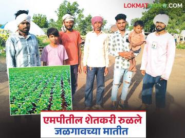 मध्य प्रदेशातून आले अन् जळगावच्या मातीत रुळले, आता शेतीतही भागीदारी! - Marathi News | Latest News agriculture news Came from Madhya Pradesh and settled in soil of Jalgaon | Latest News at Lokmat.com