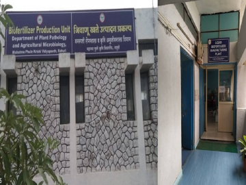 महात्मा फुले कृषी विद्यापीठनिर्मित जैविक किडनाशके - Marathi News | Biological pesticides produced by mahatma phule krishi vidyapeeth rahuri | Latest agriculture News at Lokmat.com